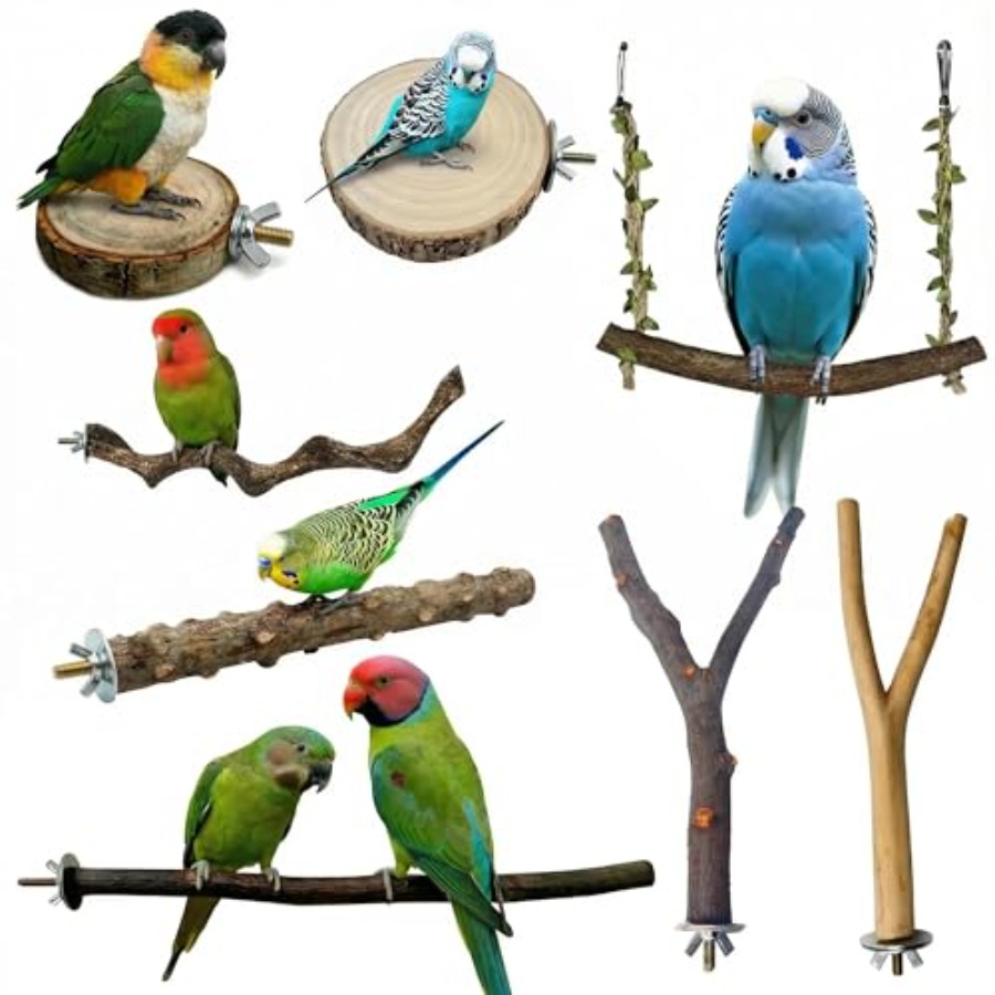 Health & Wellness Unlimited - 8PCS natural wood bird perches for