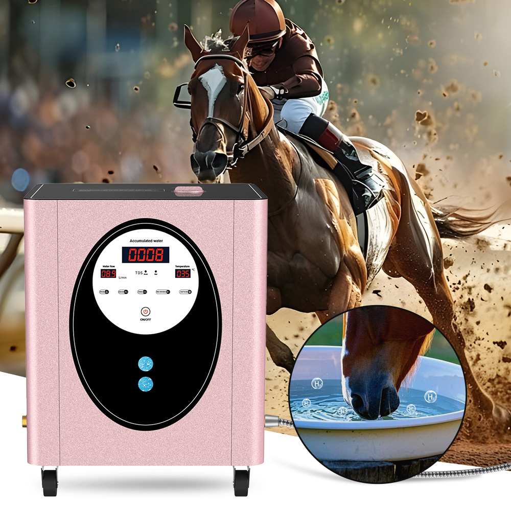 Health Wellness Spa - SUYZEKO Whole House Hydrogen Water Machine