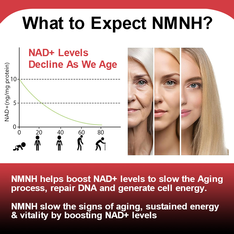 High Liposomal NMNH 500mg Supp - Holistic Health & Wellness recension och pris