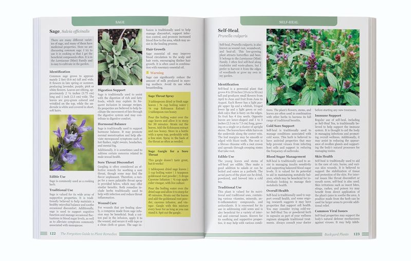 The Forgotten Guide to Plant R - Holistic Health & Wellness recension och pris