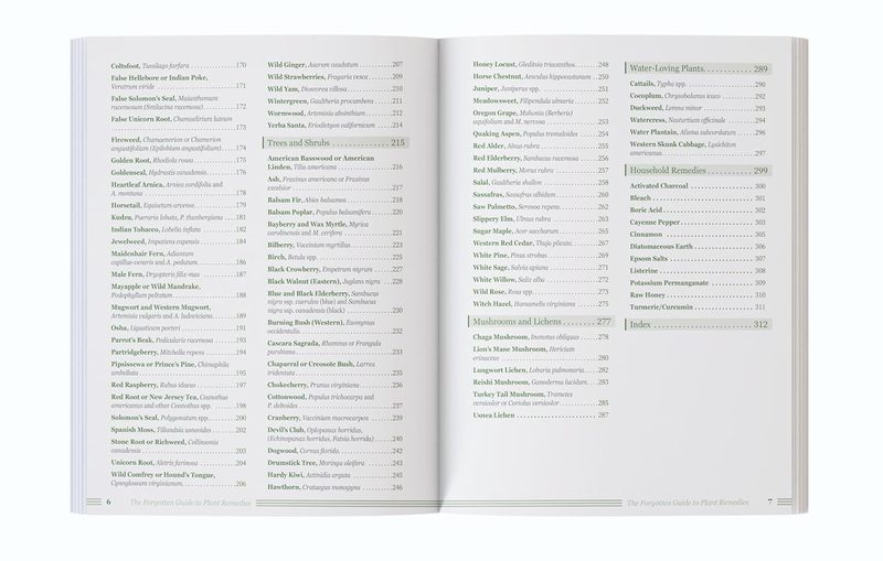 The Forgotten Guide to Plant R - Holistic Health & Wellness recension och pris